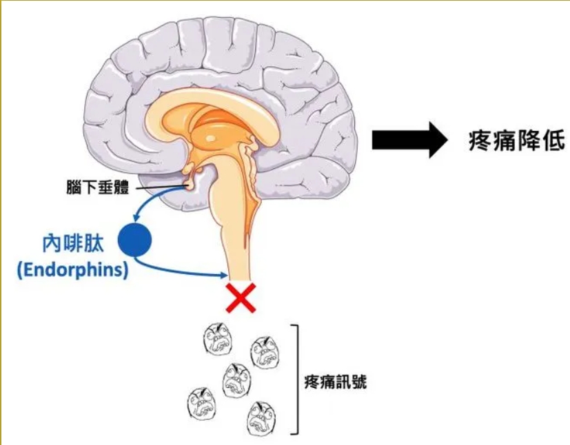 微信截图_20240827083616.png